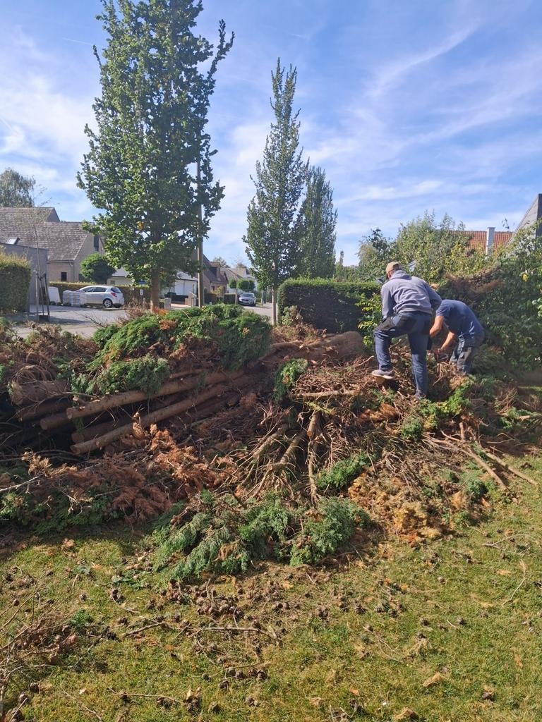 Jardinier élagueur, Enlèvement ou Envoi