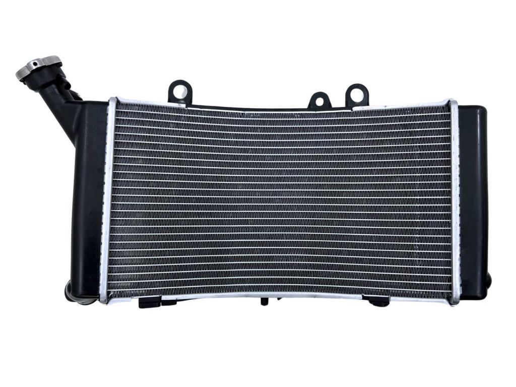 RADIATEUR BMW F 850 GS 2018-2023 (F850GS K81) (17111600196), Motoren, Dhr. S. di Majo, Nieuw, Info@cama-motorparts.nl, P.J. Troelstraweg 8 8
3144 CX  MAASSLUIS, NL