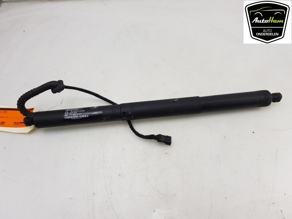MOTEUR DE HAYON BMW X5 (F15) (|51247294469|7294469|), Utilisé, BMW, Haillon arrière