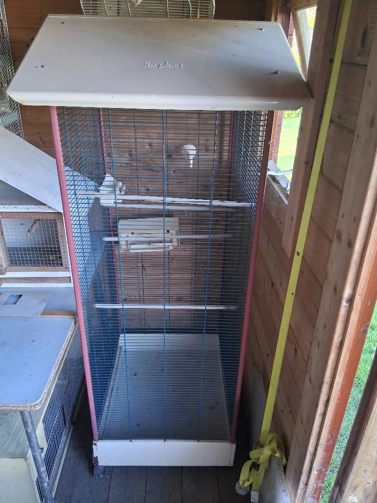 Vogelkooi, Dieren en Toebehoren, Ophalen, Vogelkooi