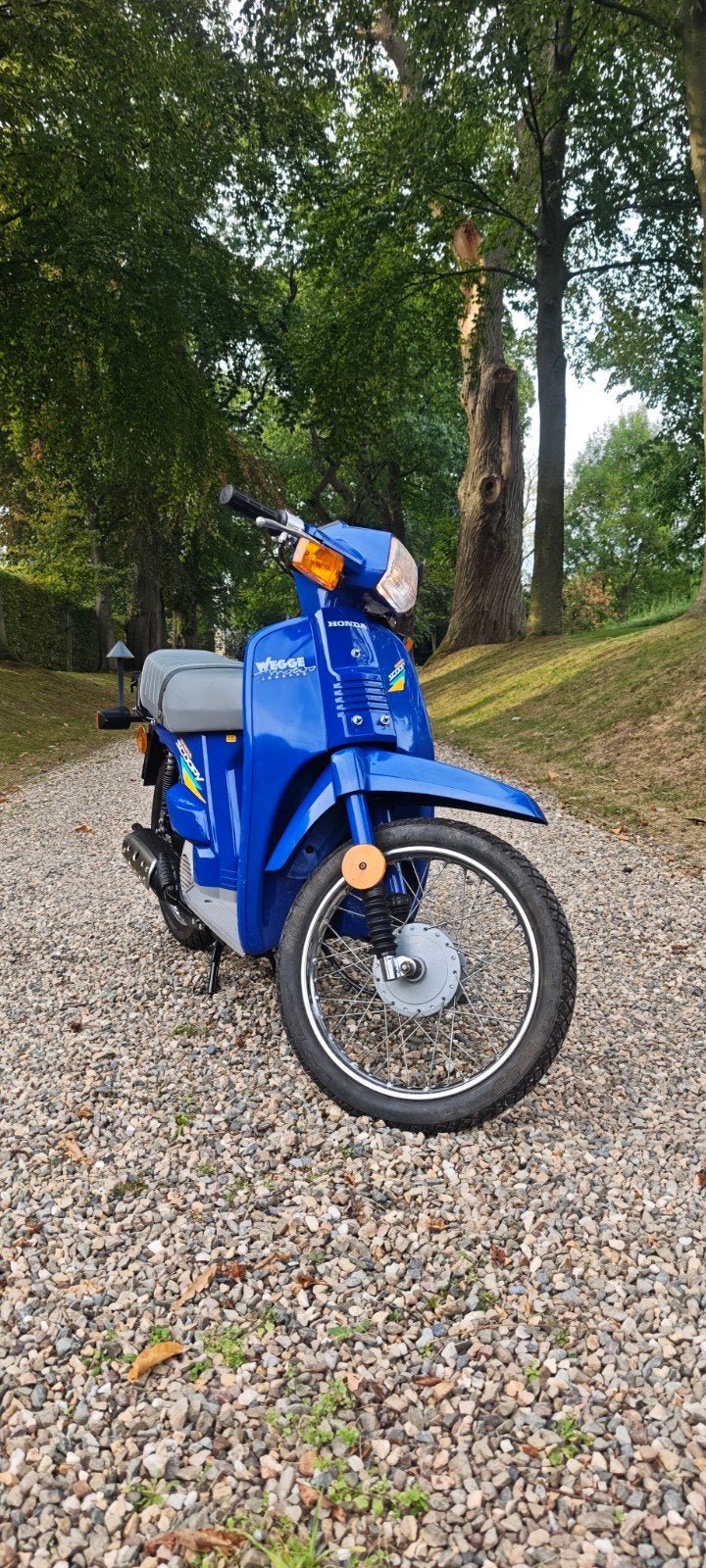 Honda Scoopy OT SH50 Classe B 50cc oldtimer avec GVA, Vélos & Vélomoteurs, Autres modèles, 1 vitesses, 49 cm³, Comme neuf