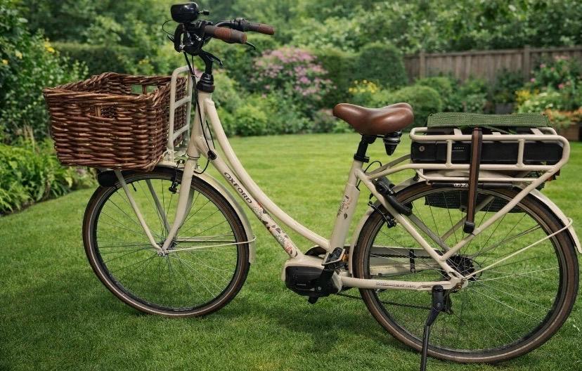 Electrische fiets E-fleur ( MAAR 470 KM op de teller ), Fietsen en Brommers, Elektrische fietsen, Overige merken, Ophalen