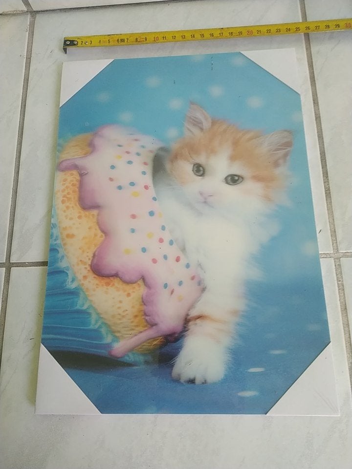 cadre chat effet 3D, Enlèvement