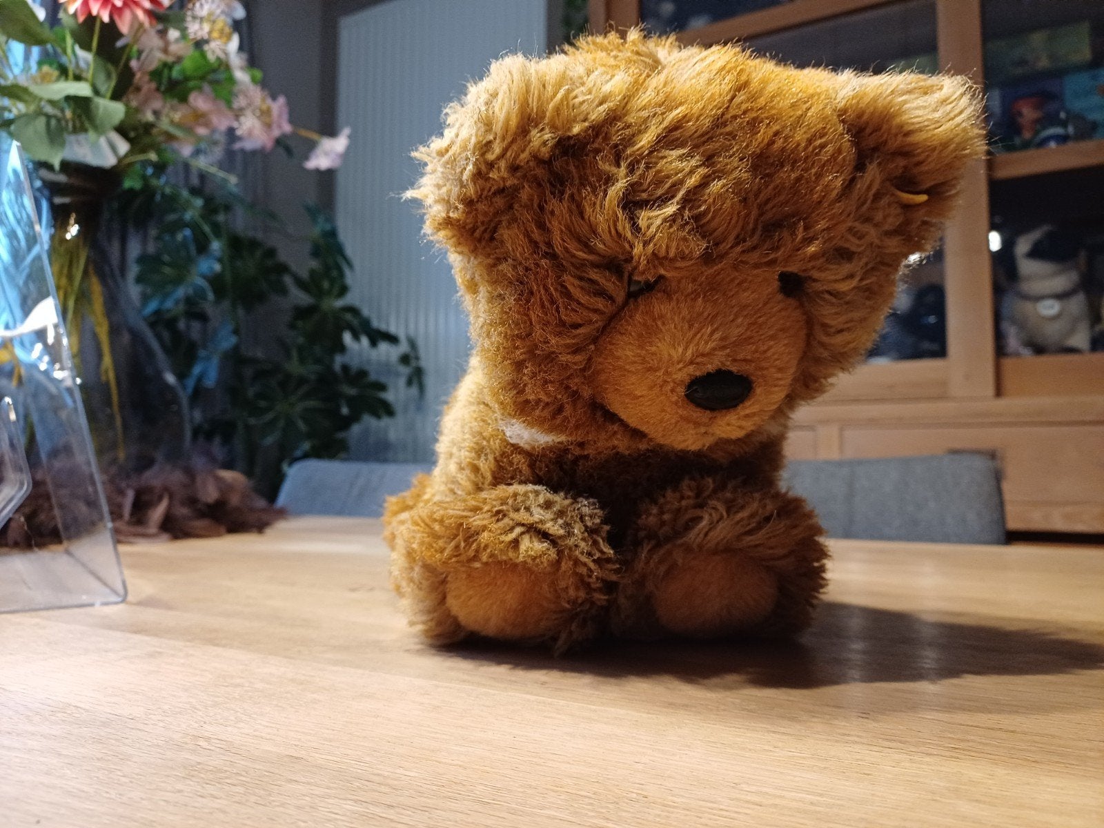 Beer van Steiff met knopje en vaantje, Ophalen of Verzenden