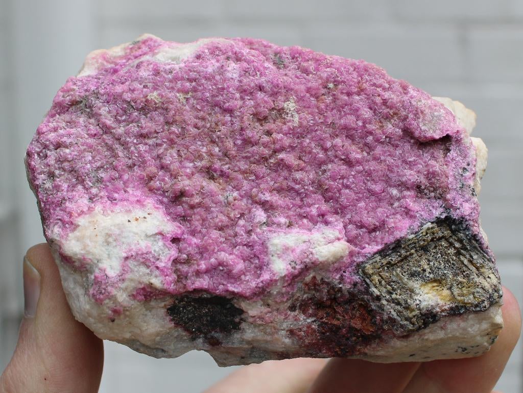 COBALTO DOLOMITE avec CARROLLITE de Kolwezi au Congo, Enlèvement ou Envoi, Minéral