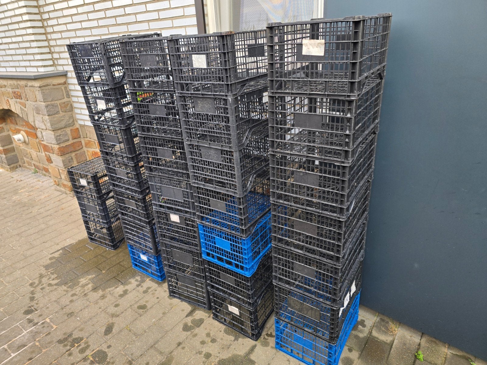 Partij 31 stuks kunststof kratten 40x30x20 gebruikt, Ophalen