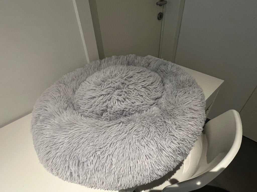 Panier pour chat ou chien, Enlèvement, Comme neuf