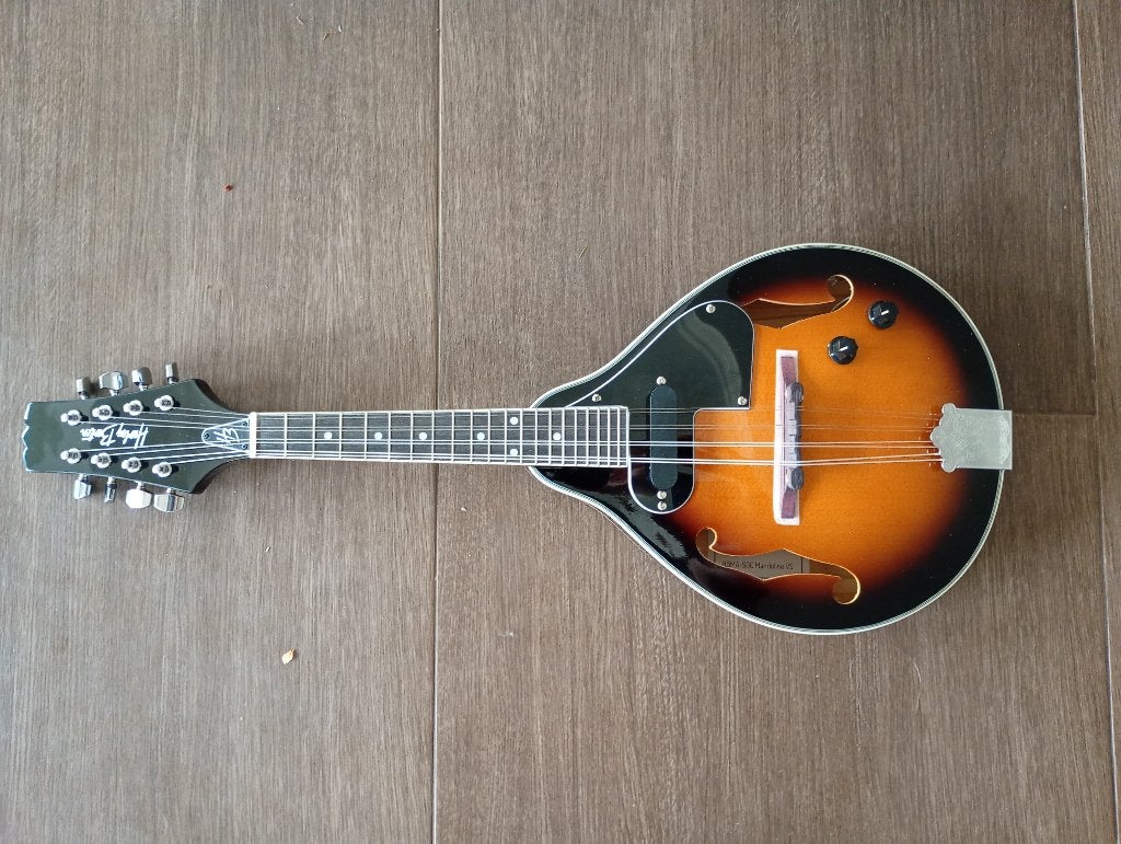 Harley Benton mandoline met pickup – zo goed als nieuw, Enlèvement, Comme neuf