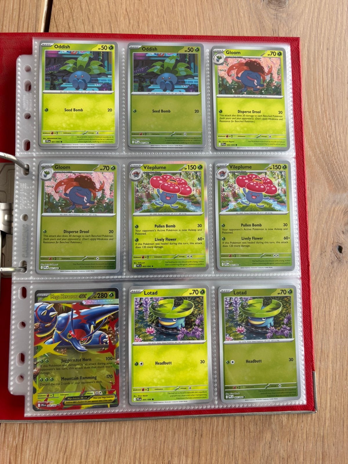 Kit de base complet Pokémon Phantasmal Flames, Enlèvement, Comme neuf