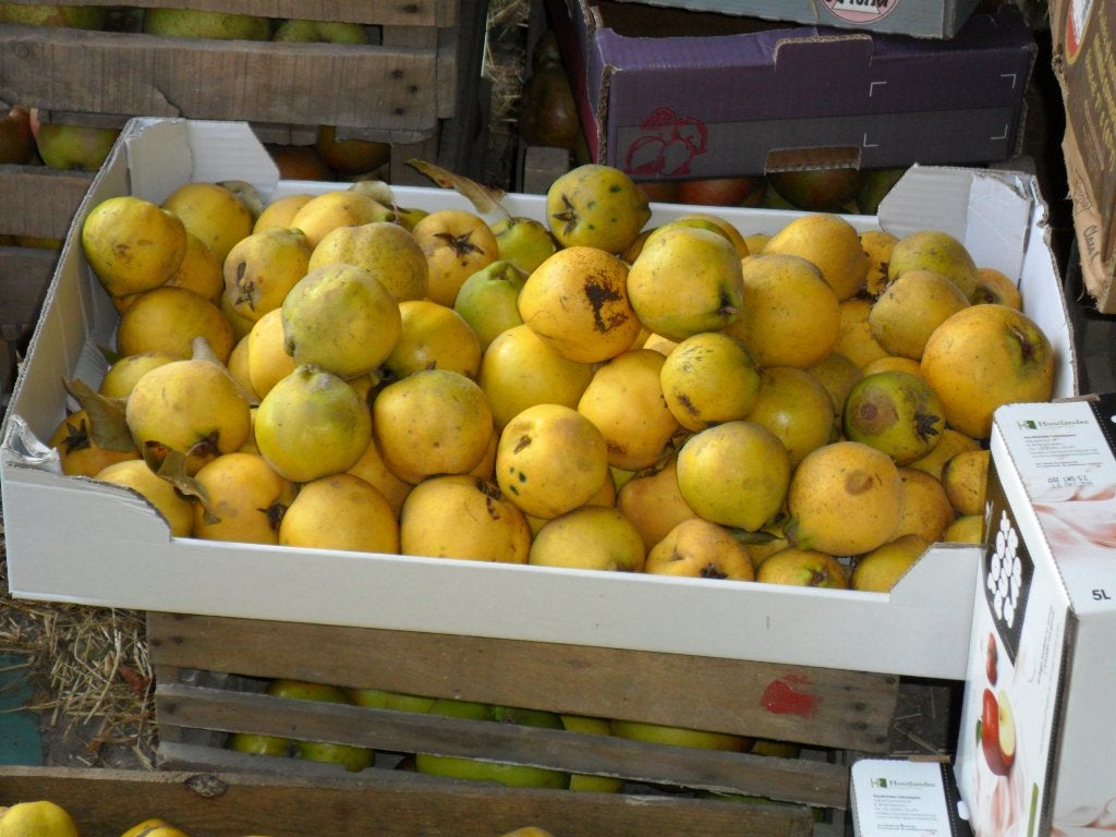 Fruit, Ophalen