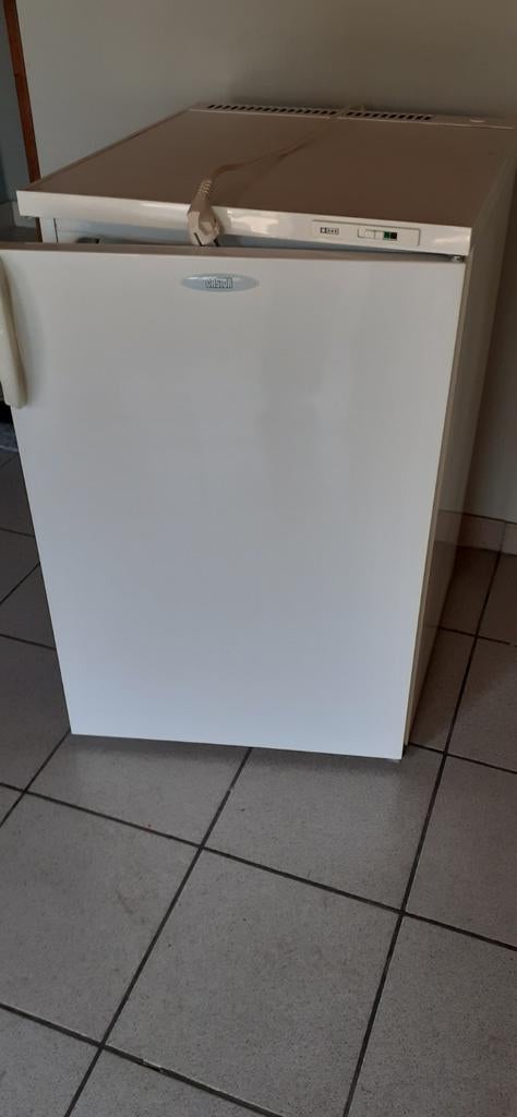 Diepvries Castor, Elektronische apparatuur, Vriezers en Diepvrieskisten, Ophalen