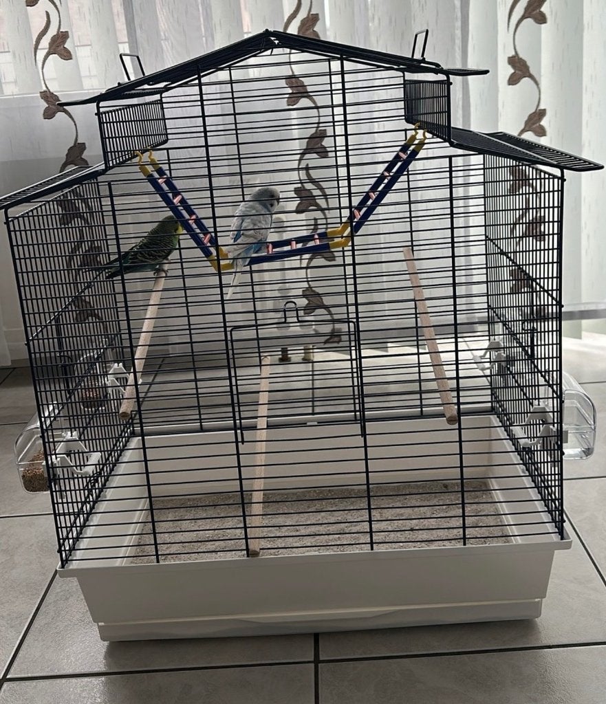2 parkieten + kooi en toebehoren, Ophalen, Zo goed als nieuw, Vogelkooi