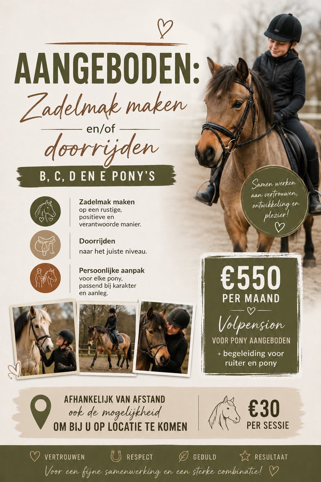Zadelmak maken/ doorrijden pony’s, Dieren en Toebehoren, Pony's, B