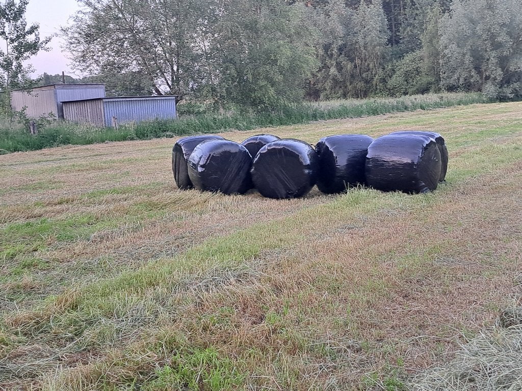 Midi balen Zeer mooi voordroog hooi, Zakelijke goederen, Landbouw | Veevoer, Ophalen