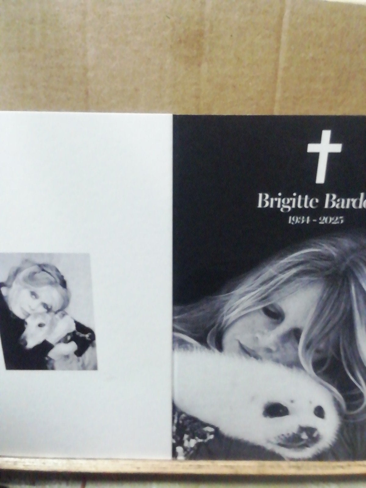 bidprentje van Brigitte Bardot, Collections, Images pieuses & Faire-part, Enlèvement ou Envoi, Image pieuse