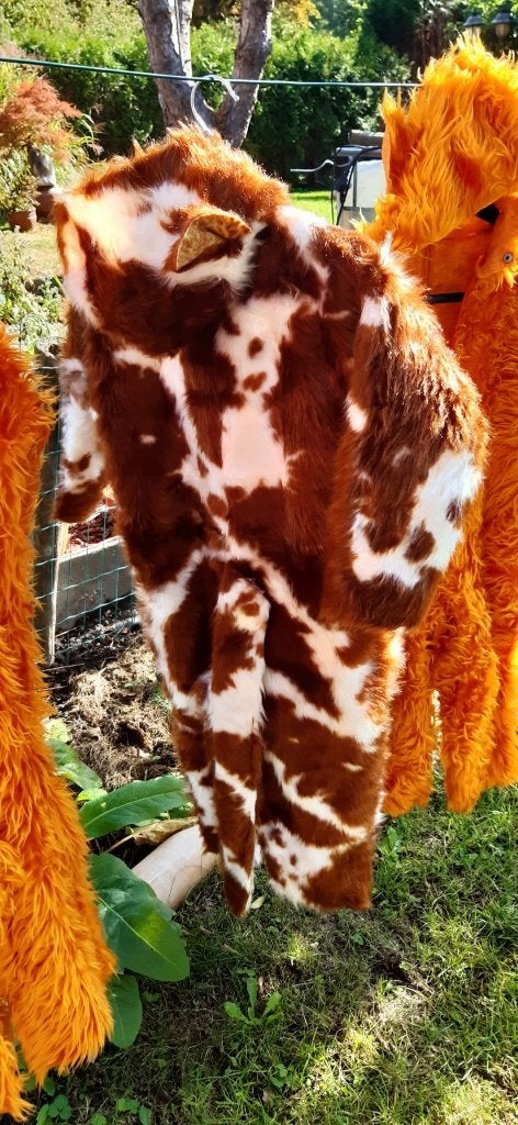 carnavalkostuum voor kinderen, Ophalen, Zo goed als nieuw, 122 t/m 128, Jongen of Meisje