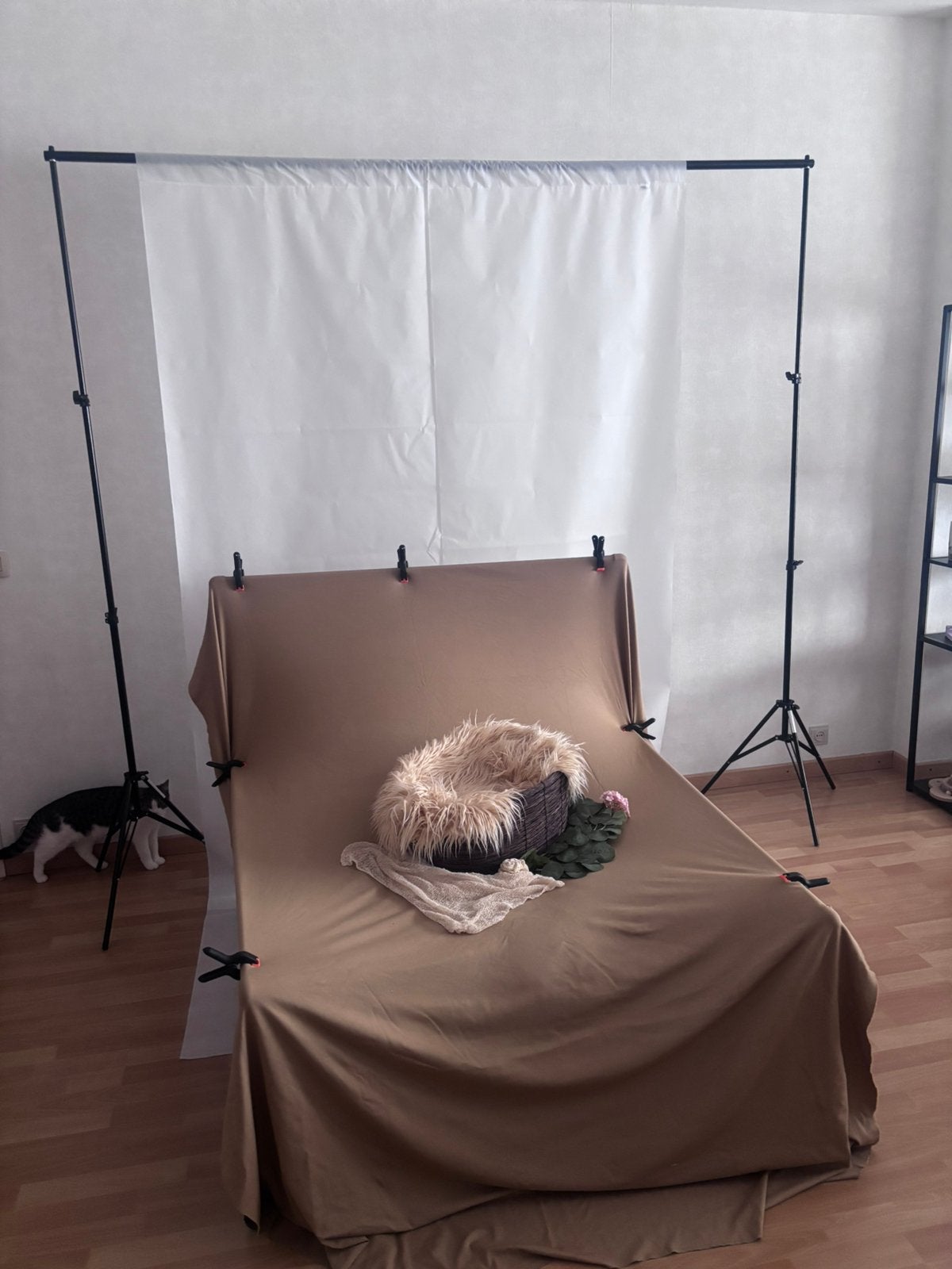 Volledige fotostudio set + newborn props / beanbag, Ophalen, Zo goed als nieuw, Achtergrond