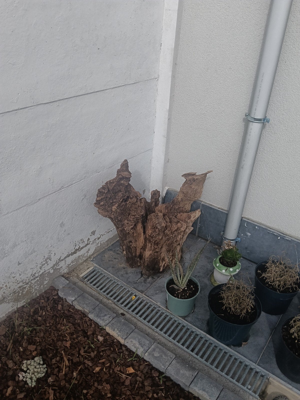 decoratie boom stam, Tuin en Terras, Ophalen