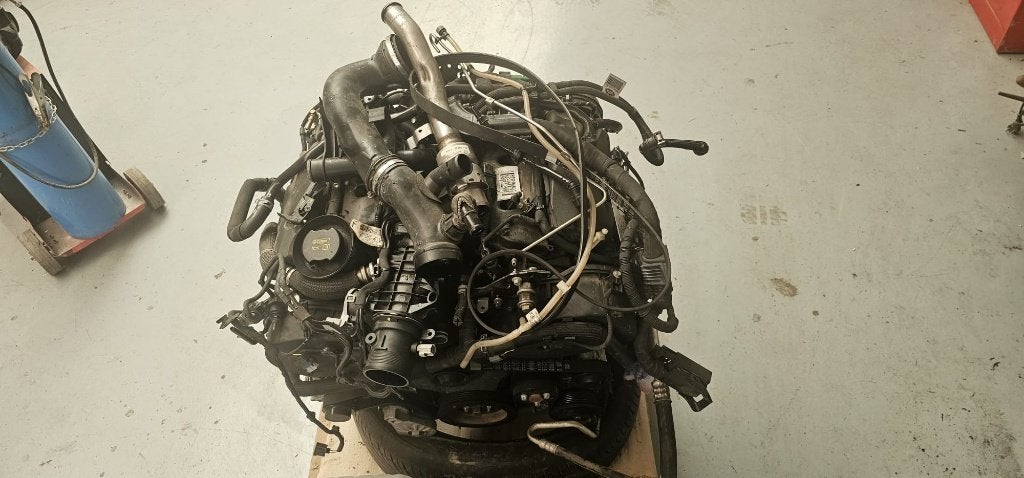 Defecte Motor Range Rover-Land Rover 3.0D TDV6 306DT GEN2, Ophalen, Gebruikt, Land Rover