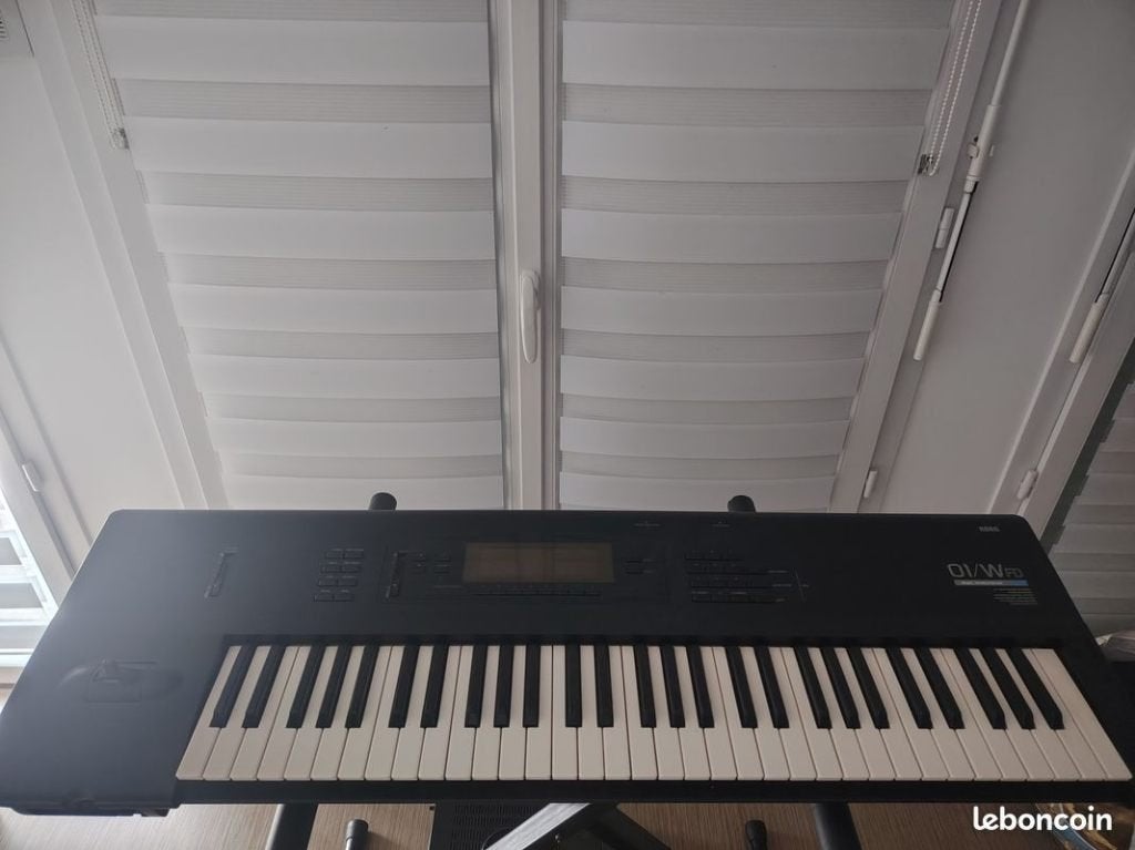 Korg 01/WFD, Enlèvement, Korg