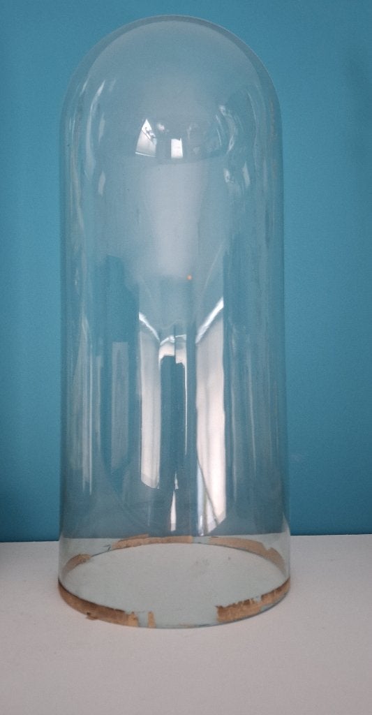 Glazen stolp 42 cm hoog, Ophalen
