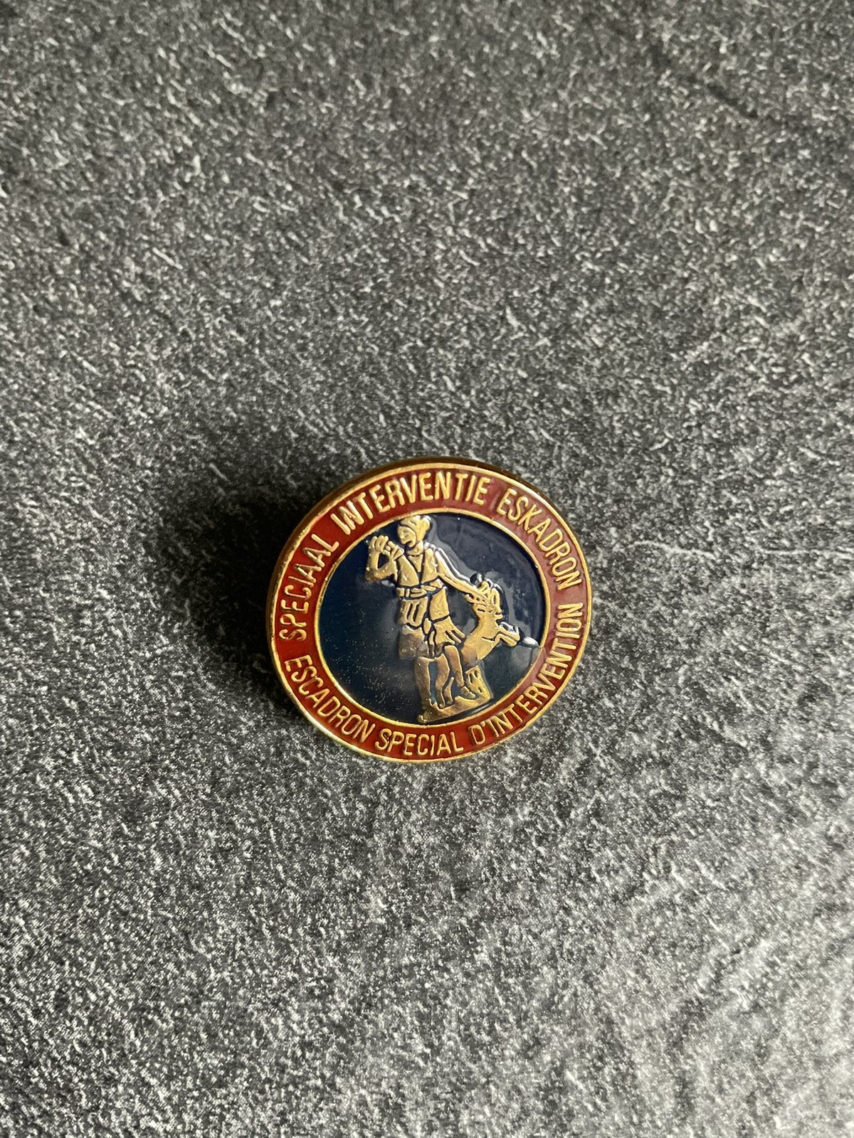 Pin ~ Groep Diane, Collections, Broches, Pins & Badges, Enlèvement, Comme neuf