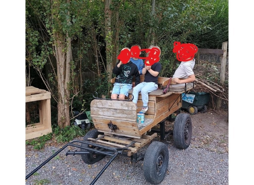 Ponykoets te koop, Dieren en Toebehoren, Gebruikt, Overige typen, Pony