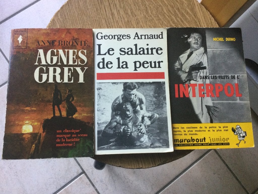 HET LOON VAN ANGST/FILET VAN INTERPOL/AGNES GREY, Antiek en Kunst, Ophalen of Verzenden, BRONTE/DUINO/ARNAUD