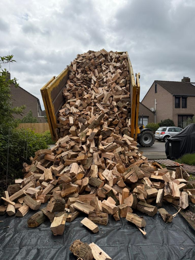 bois de chauffage, 6 m³ ou plus, Enlèvement ou Envoi, Autres essences de bois, Bûches