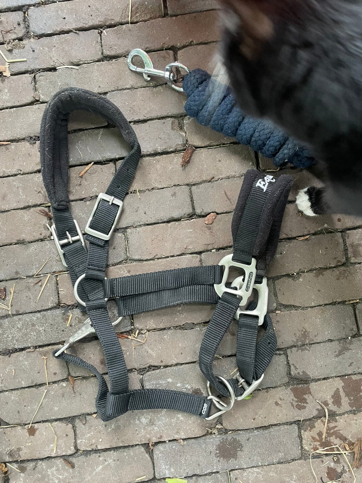 Halster greenfield, Dieren en Toebehoren, Ophalen of Verzenden, Zo goed als nieuw, Halster, Cob