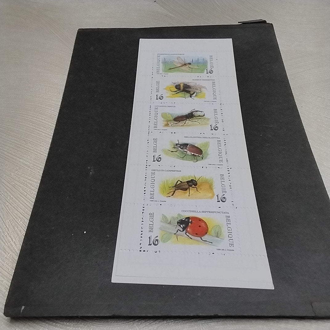 BELGIE boekje 27 postfris met cote 5,50 €, Ophalen of Verzenden, Postfris