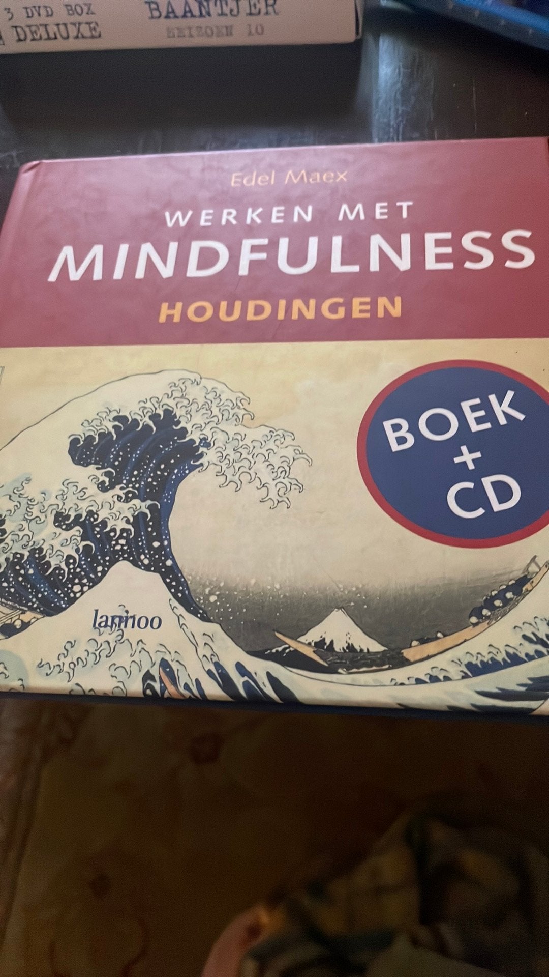 Boekje en cd werken met mindfulness, Livres, Ésotérisme & Spiritualité, Enlèvement ou Envoi, Comme neuf