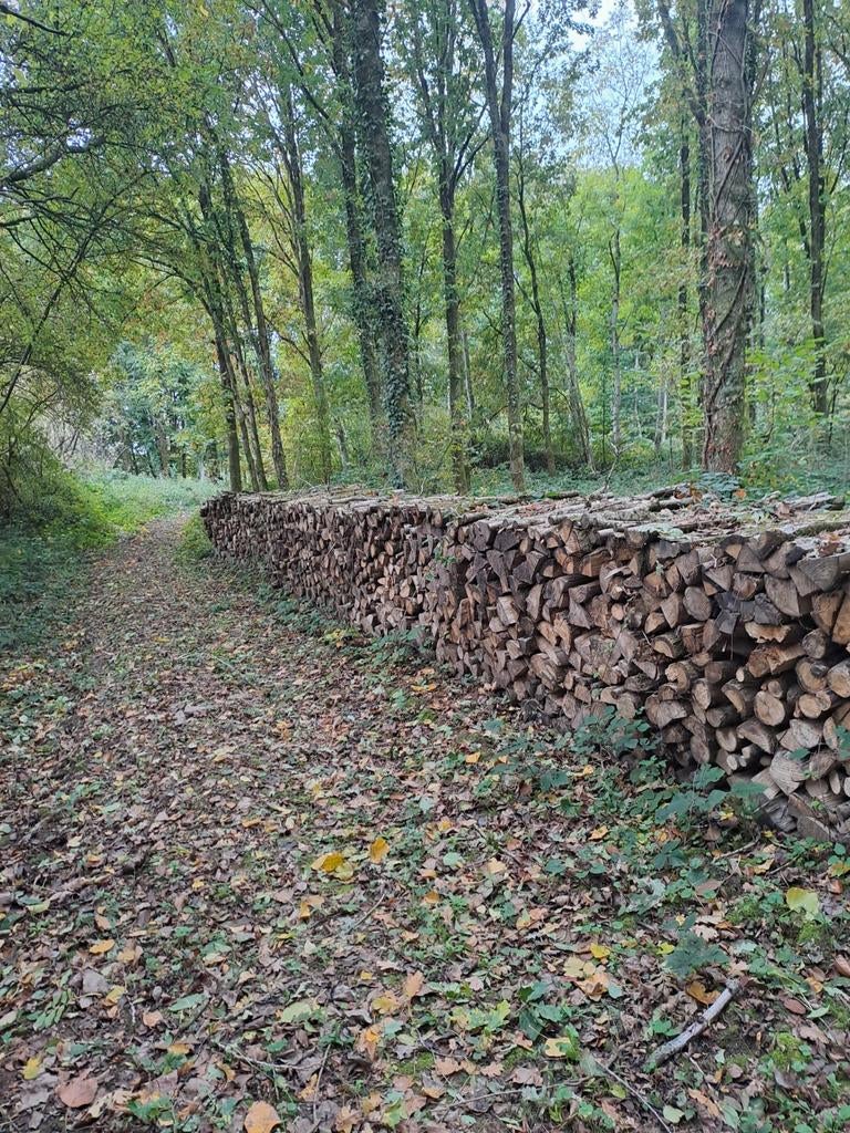 Bois de chauffage, Enlèvement