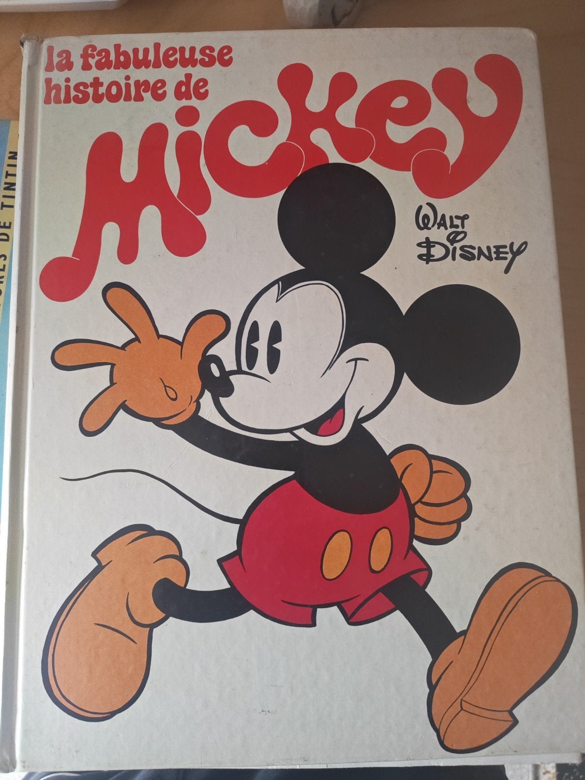 La fabuleuse histoire de Mickey, Livres, Enlèvement