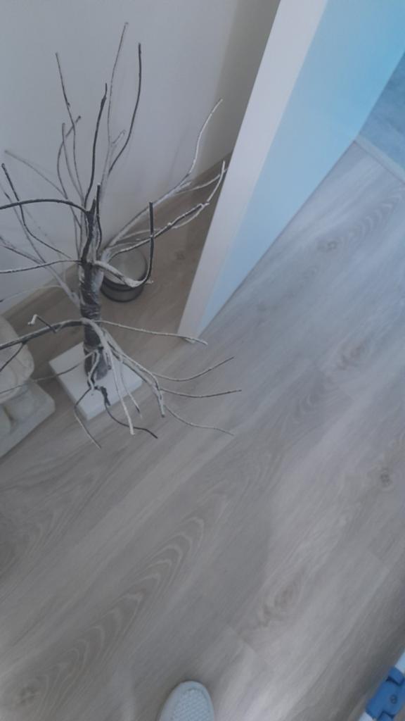 Boompje met leds, Ophalen