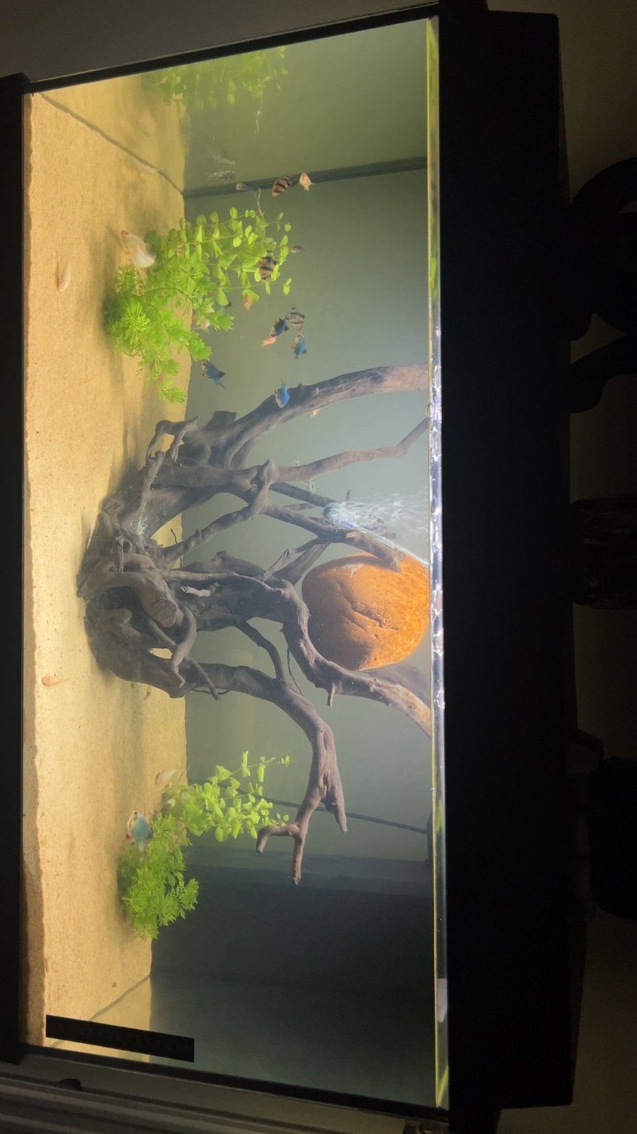 Juwel aqarium 110 te koop, Ophalen, Gebruikt, Verlichting