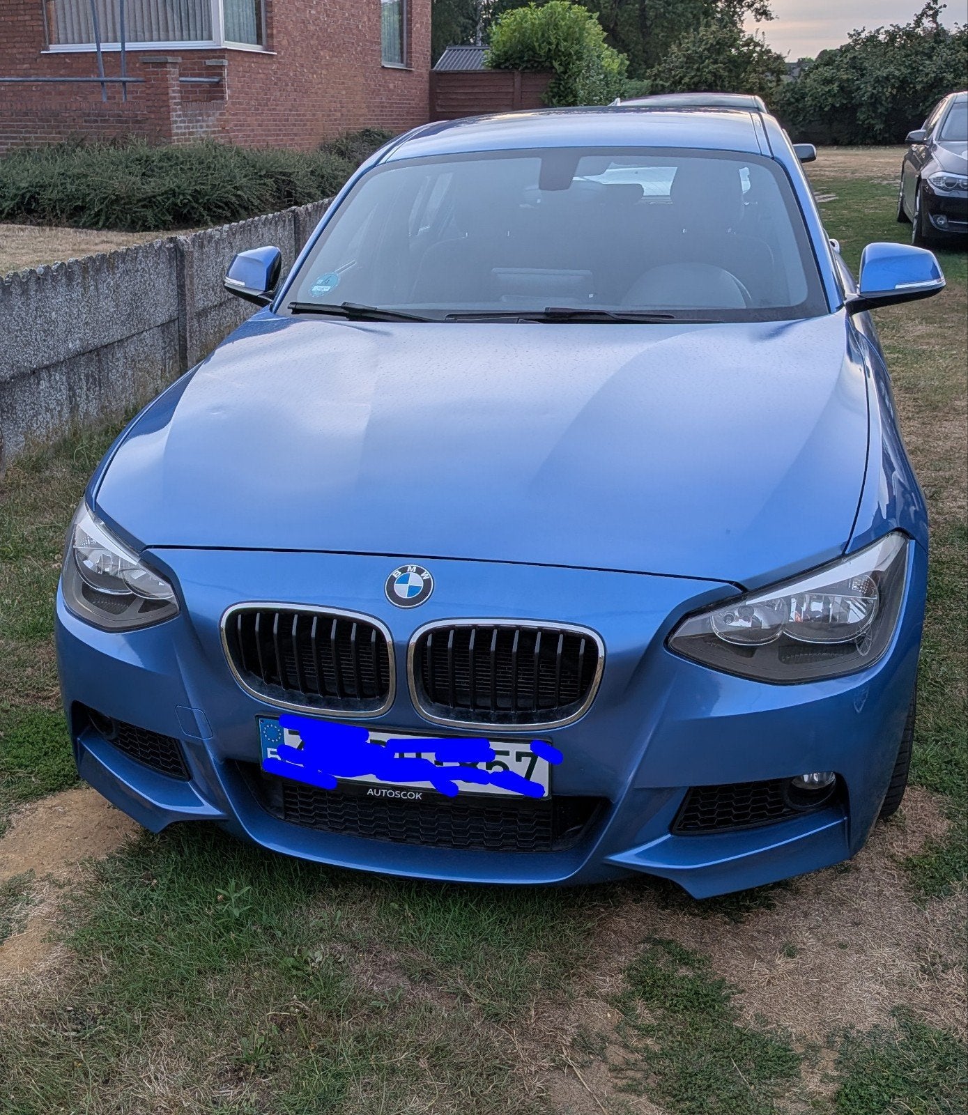 bmw118i f20, 100 kW, Blauw, Alcantara, Grijs