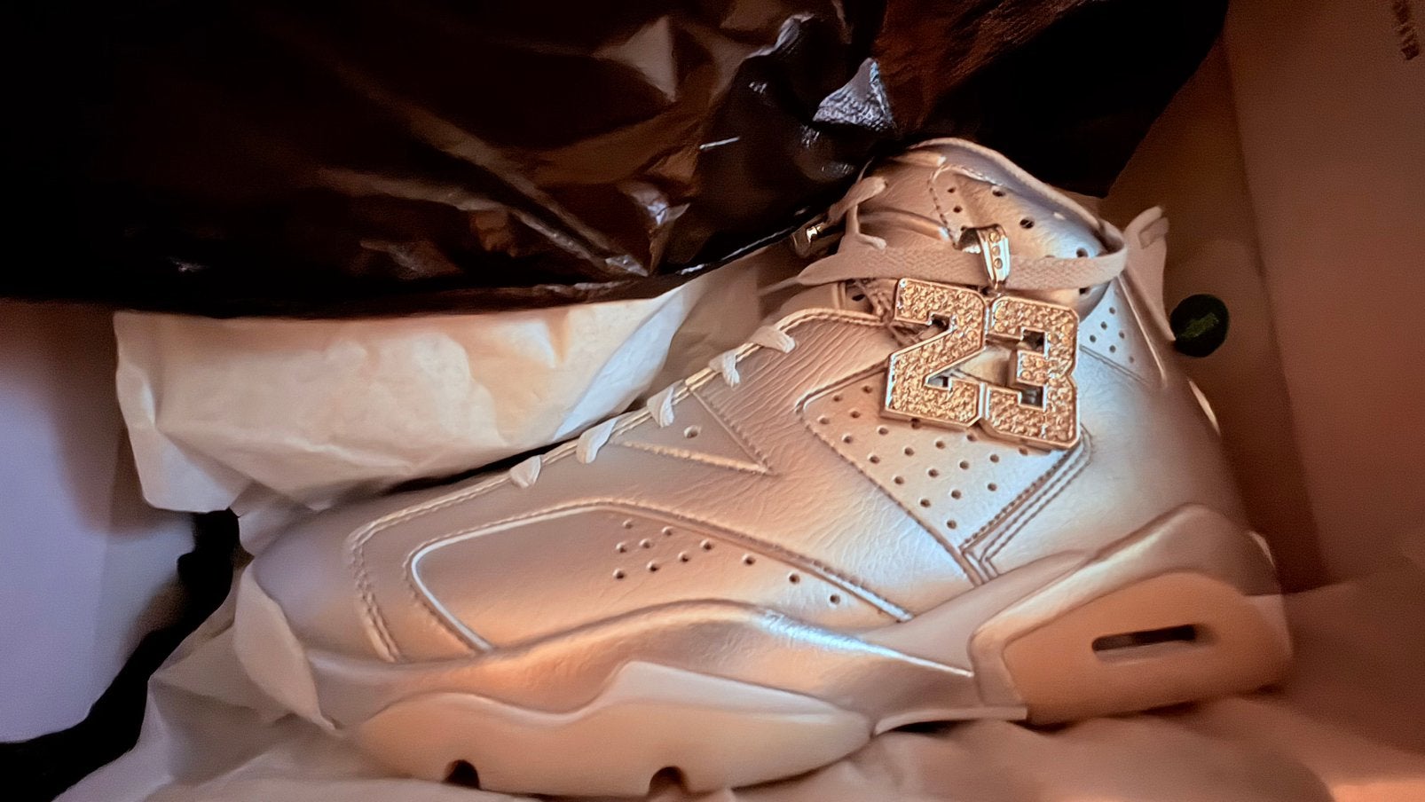 Nike Air Jordan 6 retro Metallic PSG T/44, Enlèvement ou Envoi, Neuf, Chaussures