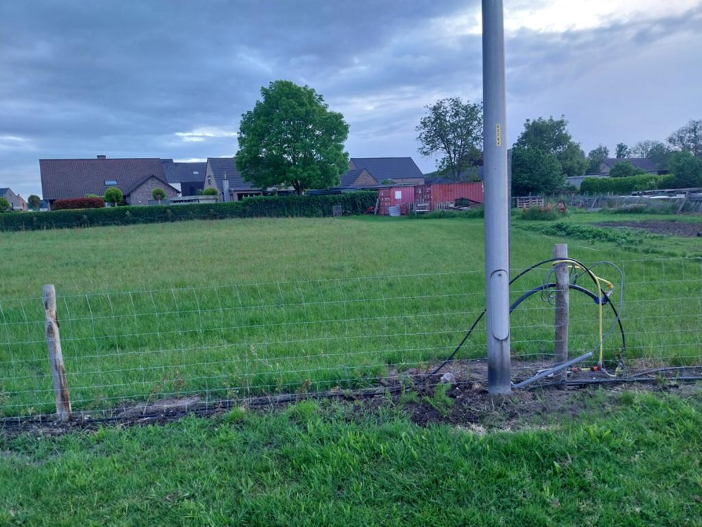 Weideplaats te huur vanaf 01/06/2026