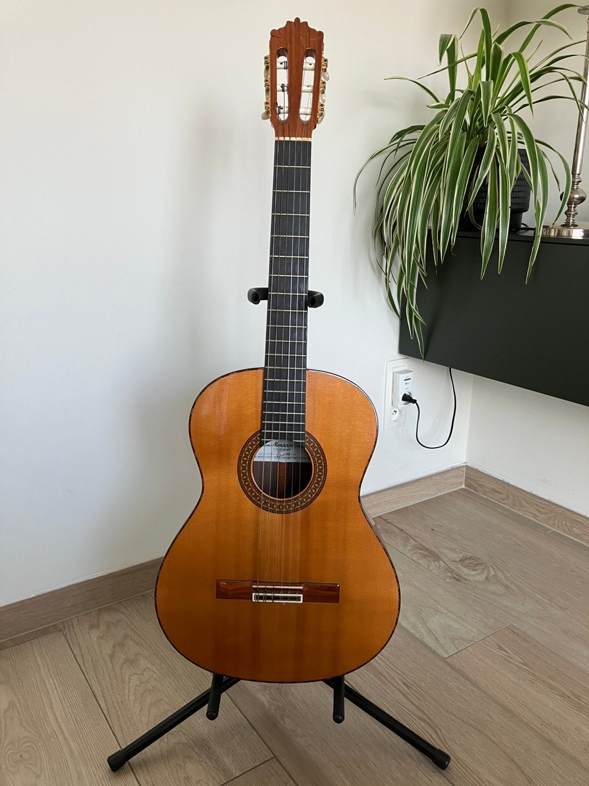 Gitaar Almansa Profesional Jacaranda 1998, Ophalen, Zo goed als nieuw, Klassieke of Spaanse gitaar, Met koffer