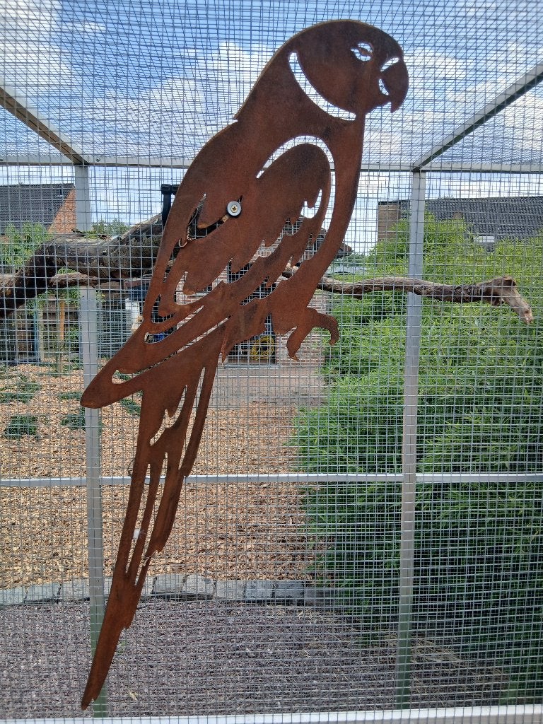 tuindecoratie & metalen & parkiet & metalen & papegaai, Tuin en Terras, Tuinbeelden, Ophalen, Nieuw, Metaal, Dierenbeeld