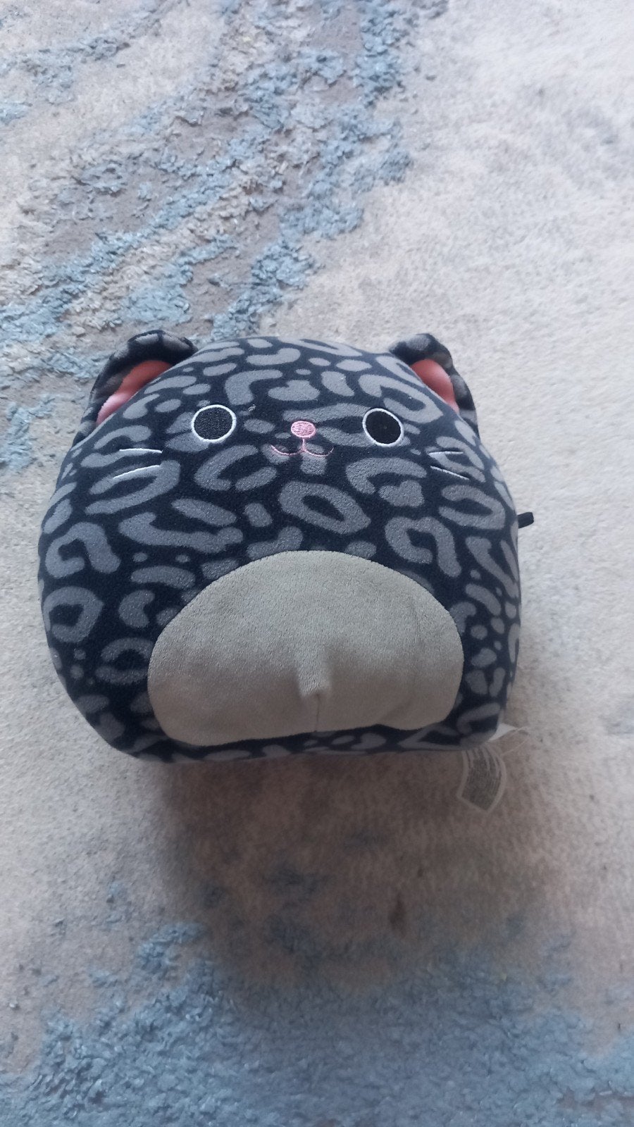 Mooie squishmallow kat, Ophalen
