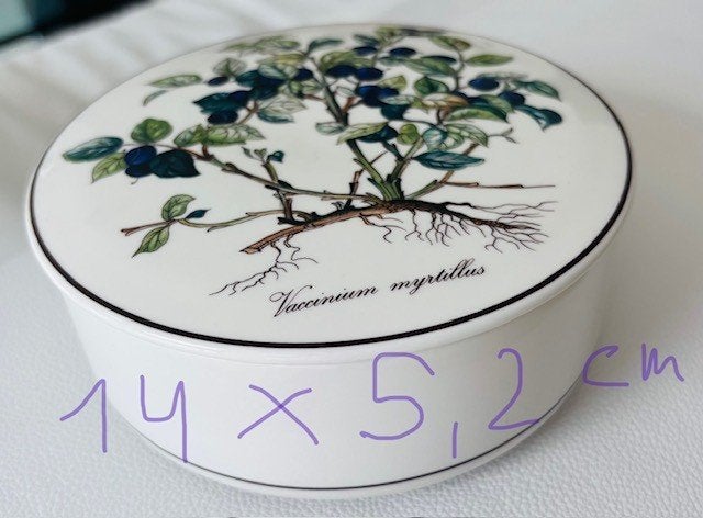 Villeroy&Boch Botanica porselein, Ophalen of Verzenden, Porselein, Villeroy & Boch