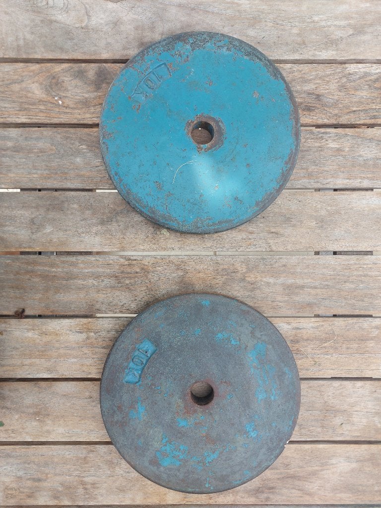 2 disques en fonte 10 kg, Sports & Fitness, Enlèvement