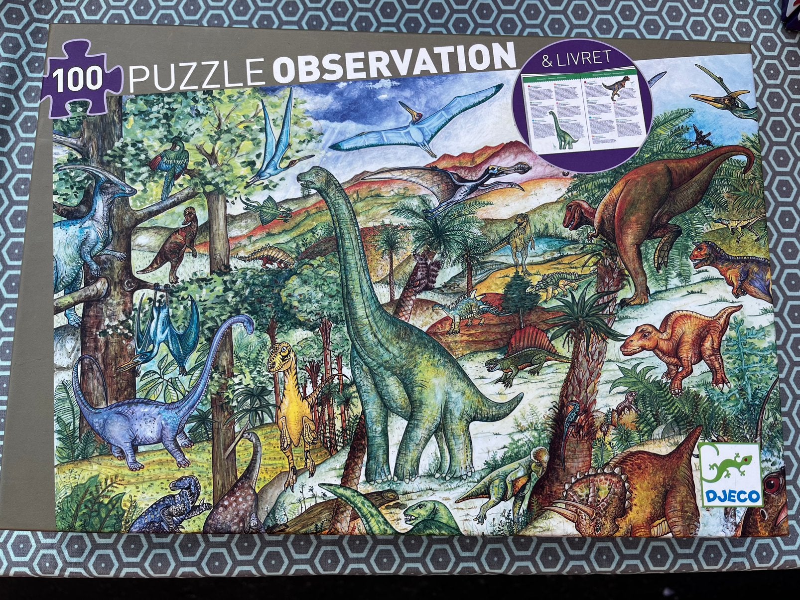 Puzzle 100 pièces Djeco, Enlèvement, Plus de 50 pièces, Comme neuf