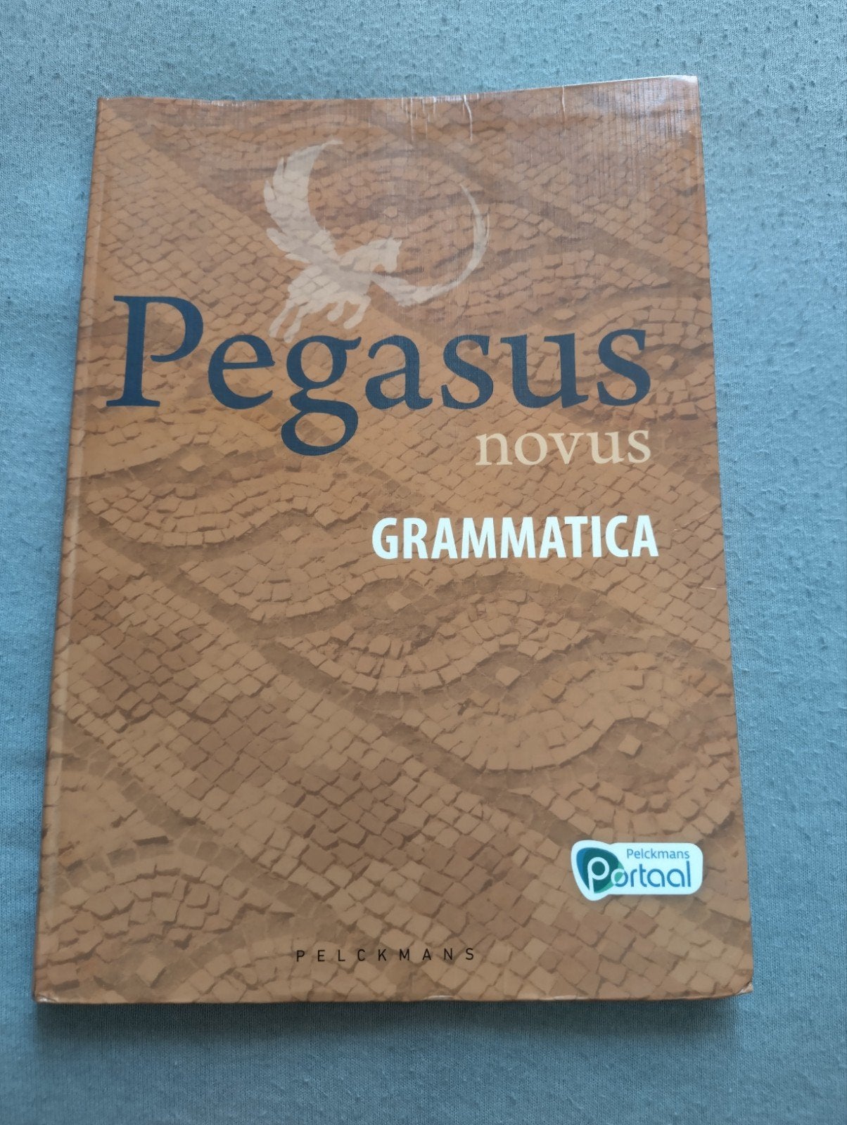 Grammaire latine de Pegasus Novus, Livres, Livres scolaires, Enlèvement ou Envoi, Latin, Comme neuf, Secondaire
