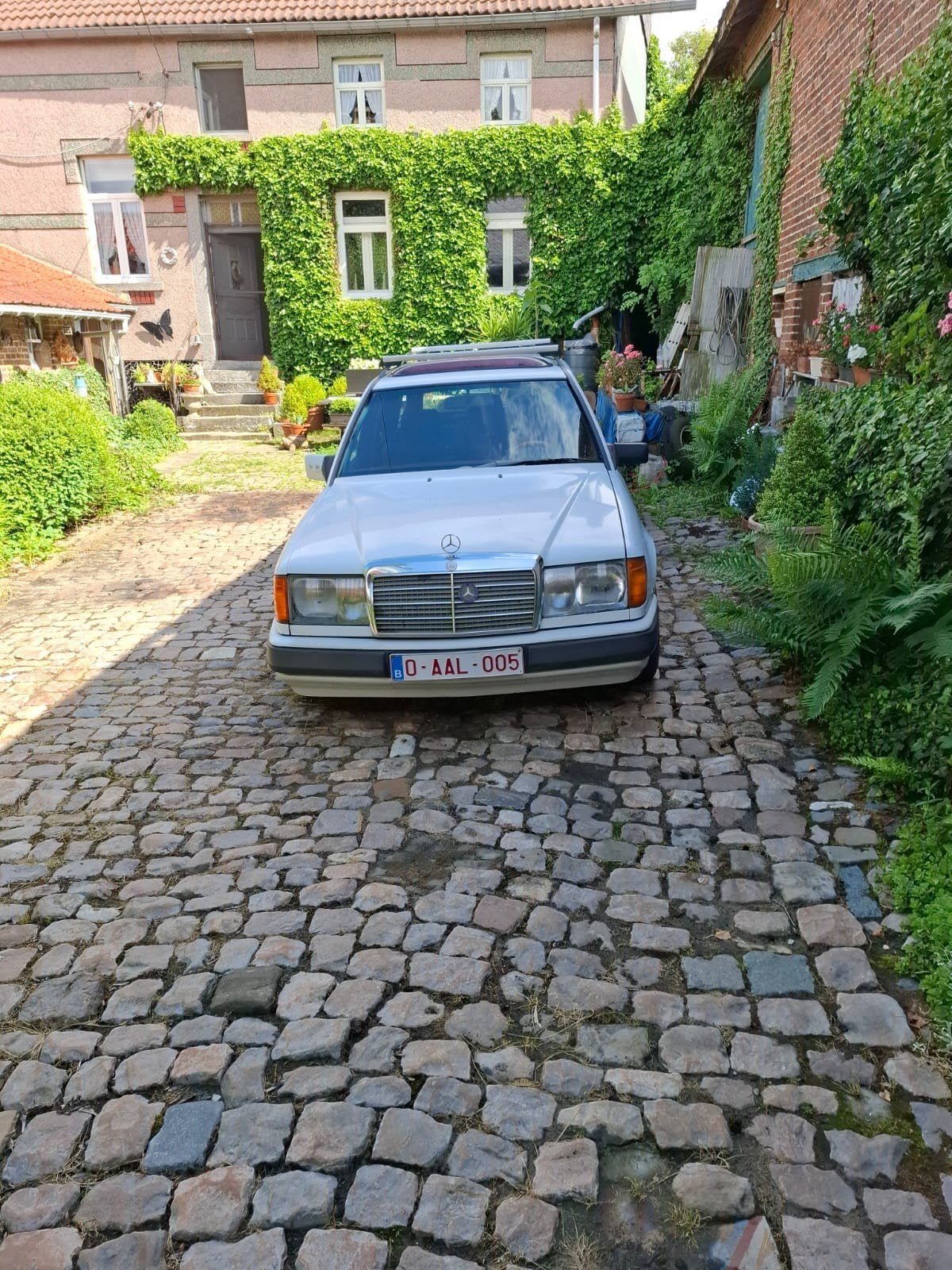 Voiture classique Mercedes Benz 250, Autos, Particulier, Achat
