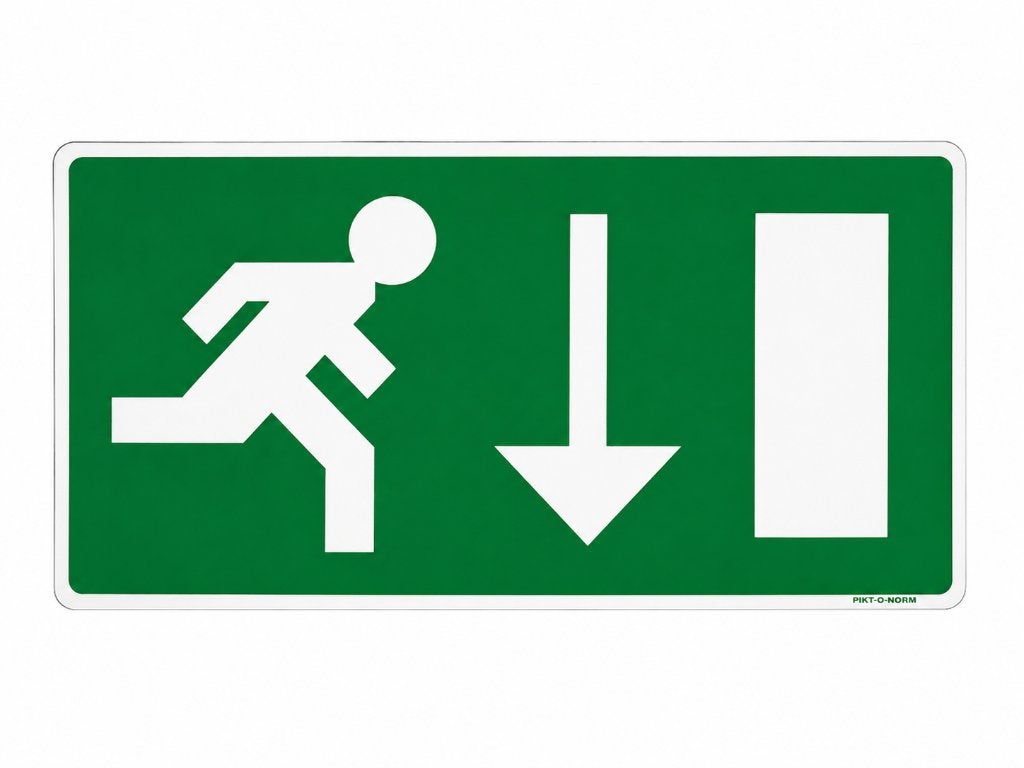 Pikt-O-Norm Nooduitgang Bord 30x15  | Meerdere stuks, Doe-het-zelf en Bouw, Overige Doe-Het-Zelf en Bouw, Nieuw, Ophalen of Verzenden