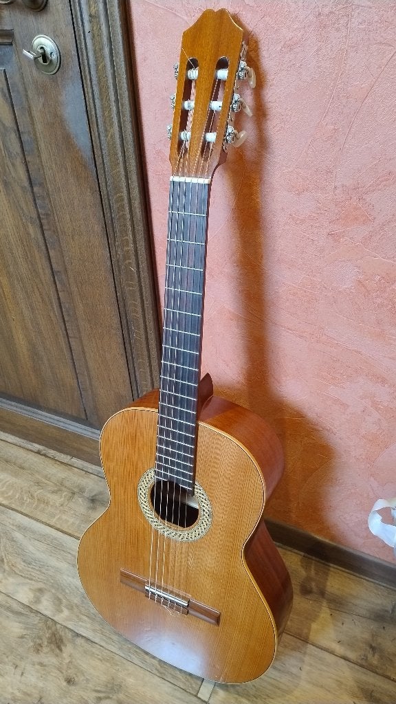 Klasieke Gitaar, Enlèvement, Utilisé, Guitare classique ou espagnole, 12 cordes