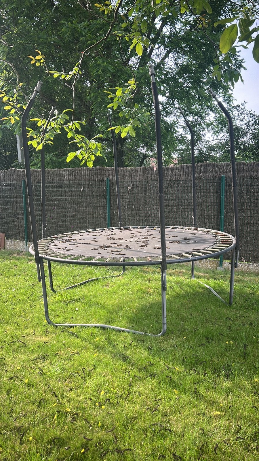 Récupération gratuite du trampoline Salta, Enlèvement, Utilisé